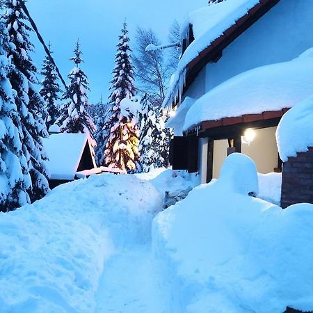 Hotel Uki & Sofi Mountain House Kopaonik Exterior foto