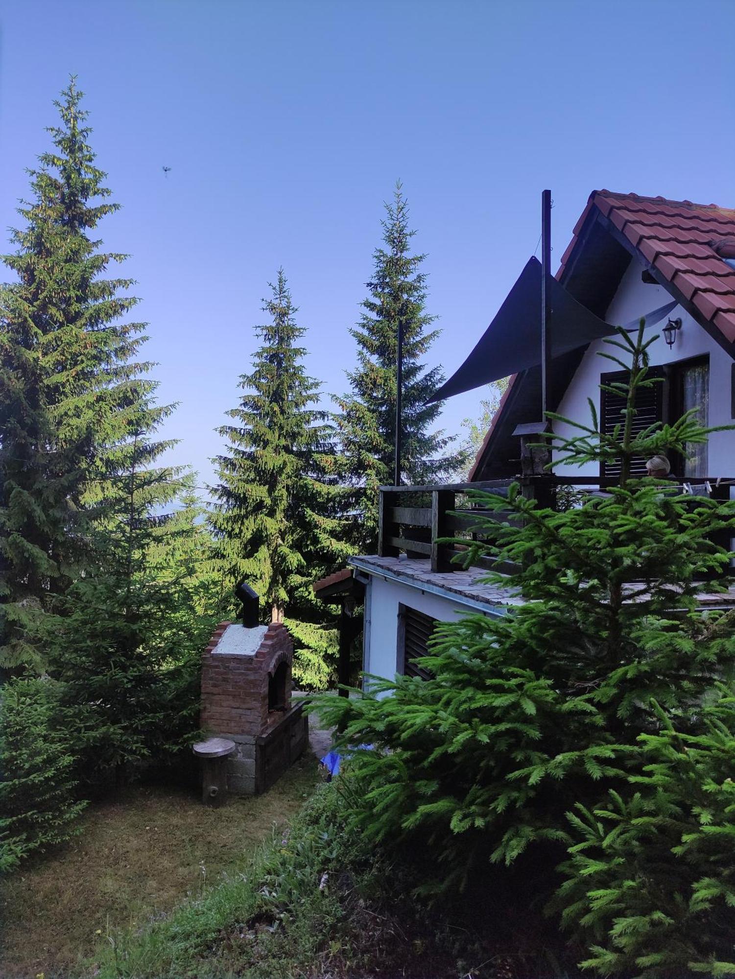 Hotel Uki & Sofi Mountain House Kopaonik Habitación foto